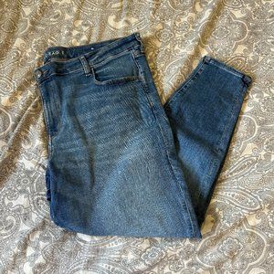 American Eagle Skinny Jeans Jeggings Size 24